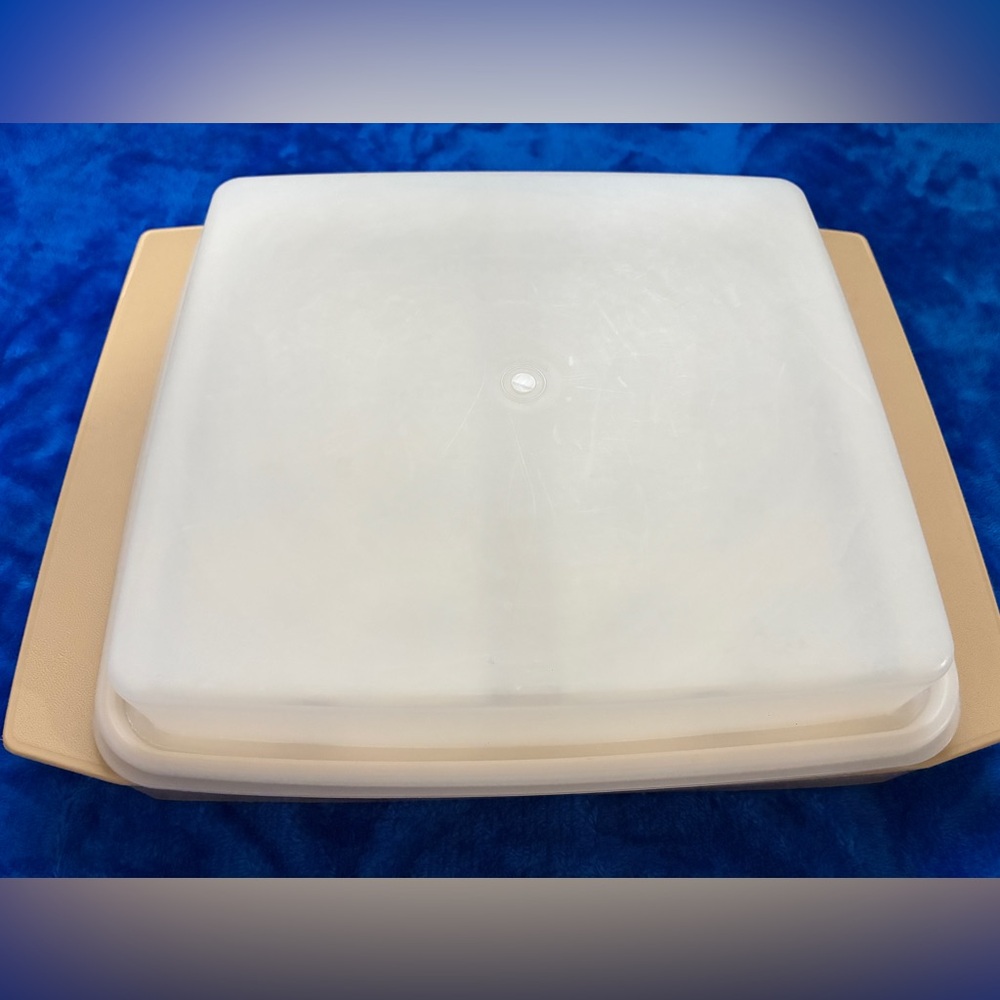Vintage Tupperware Deviled Egg Tray Keeper-Carrier